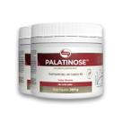 Kit 2 Palatinose Vegano Vitafor 300g Neutro