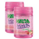 Kit 2 Pastilhas Valda Friends Sabor Morango 50g
