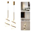Kit 2 Pendentes Espiral Metal Luxo Led Design Nitrolux Worm