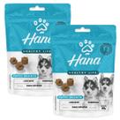 Kit 2 Petisco Hana Para Cachorro Filhote Puppy 80g
