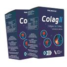 Kit 2 Potes Colágeno Tipo 2 Suplemento Alimentar Natural Vitamina Natunectar 120 Capsulas Rápida Absorção Premium Kit 2 Potes Colágeno Tipo 2 Suplemento Alimentar Natural Vitamina Natunectar 120 Capsulas Rápida Absorção Premium