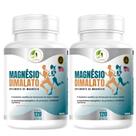 Kit 2 Potes Magnésio Dimalato Premium 120 Cápsulas 500mg - Fits Life