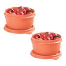 Kit 2 Potes Tupperware Tigelinha Pêssego 250ml
