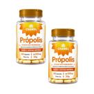Kit 2 Própolis Extrato Seco 60 Cápsulas 550mg Chamel