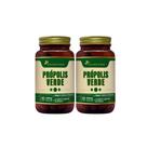 Kit 2 Própolis Verde Extrato Seco 500mg 2x60 cps Flora Nativa
