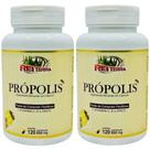 Kit 2 Própolis + Vit. C + Vit E + Zinco 240 Cápsulas - Rei Terra