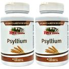 Kit 2 Psyllium 500mg 240 Cápsulas - Rei Terra Kit 2 Psyllium 500mg 240 Cápsulas - Rei Terra