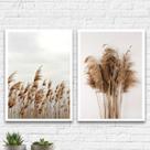 Kit 2 Quadros Capim Dos Pampas 45x34cm - com vidro