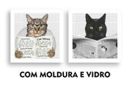 Kit 2 Quadros Decorativos Banheiro Toalete Lavabo Gato Jornal