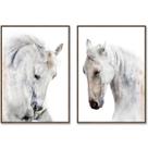 Kit 2 Quadros Decorativos Beleza Indomável Cavalo Branco