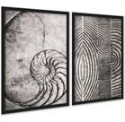 Kit 2 Quadros Decorativos Fibonacci Conchas Cinzas 24x18cm - com vidro