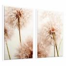 Kit 2 Quadros Decorativos Floral Flor Dente de Leão Suave Moldura Vidro Quarto Sala Duo 40x60