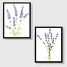 Kit 2 Quadros Decorativos Ramos Lavanda 33x24cm - com vidro