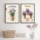 Kit 2 Quadros Decorativos Vasinhos De Lavanda 24x18cm