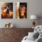 Kit 2 Quadros Fotografias Cavalos Marrom 33x24cm