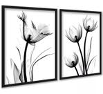 Kit 2 Quadros Fotos Flores Tulipas Minimalistas 24x18cm - com vidro
