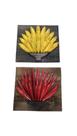 Kit 2 quadros rústicos de banana e pimenta em madeira maciça, medindo 50 cm Kit 2 quadros rústicos de banana e pimenta em madeira maciça, medindo 50 cm