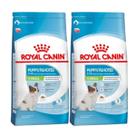 Kit 2 Ração Royal Canin X-Small Junior Cães Filhotes - 2.5Kg