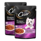 Kit 2 Ração Úmida para Cachorro Cesar Adulto Sabor Filé Mignon em Sachê 85g