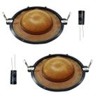 Kit 2 Reparos Driver D200/d200x + 2 Capacitores 47x100