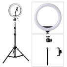 Kit 2 Ring Light Iluminador Led 12 Polegada 30cm + Tripé 1,10m Profissional Youtube