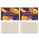 Kit 2 Sabonete Phebo Granado Nectarina da Andaluzia Glicerina Vegetal Natural em Barra 100g