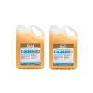Kit 2 Sabonetes Líquido Audax Gold 5l