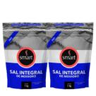 Kit 2 Sal Marinho Integral De Mossoro Smart 1kg Fino