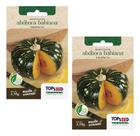Kit 2 Sementes Abobora Bahiana Tropical Horta Em Casa 2,5g