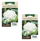 Kit 2 Sementes De Couve Flor Piracicaba De Verão Para Mudas