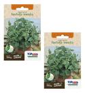 Kit 2 Sementes Erva Cha Hortelã Menta Hortela Piperita 30mg Kit 2 Sementes Erva Cha Hortelã Menta Hortela Piperita 30mg