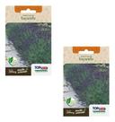 Kit 2 Sementes Lavanda Alfazema Alta Germinação Flores 200mg