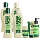 kit 2 Shamp 2 Cond 1 Banho creme 250 ml 1 Tonico 1 Finalizador Jaborandi