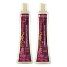 Kit 2 Shampoo Com Silicone 500ml - Midori Profissional