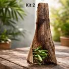 Kit 2 Suportes Rústicos 40cm para Orquídeas Bromélias Folha Coqueiro Natural Kit 2 Suportes Rústicos 40cm para Orquídeas Bromélias Folha Coqueiro Natural