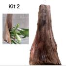 Kit 2 Suportes Rústicos 40cm para Orquídeas Bromélias Folha Coqueiro Natural