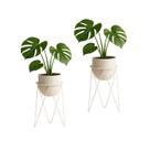 Kit 2 Suportes Tripé 30x15 para Vaso de Chão em Aço Carbono - NV515BGP