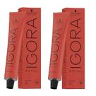 Kit 2 Tinta Igora Royal Schwarzkopf 60g - Escolha A Sua