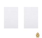 Kit 2 Toalhas de Rosto Jacquard Buettner Inter Branco