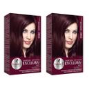 Kit 2 TONALIZANTE HASKELL 5562 CASTANHO CLARO VERMELHO VIOL ESP Kit 2 TONALIZANTE HASKELL 5562 CASTANHO CLARO VERMELHO VIOL ESP