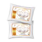 Kit 2 Travesseiro Penas E Plumas De Ganso Luxo Sono Confortável Macio