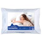 Kit 2 Travesseiros 50x70cm Suporte Firme Carioquinha Salehtex Kit 2 Travesseiros 50x70cm Suporte Firme Carioquinha Salehtex