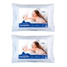 Kit 2 Travesseiros 50x70cm Suporte Firme Carioquinha Salehtex