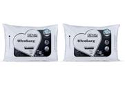 Kit 2 Travesseiros Altenburg Suporte Extra Firme