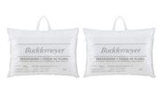 Kit 2 Travesseiros Buddemeyer Branco 50x70cm