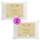 KIT 2 Travesseiros Camesa Neo Prime Antialérgico 50x70 Branc