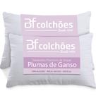 Kit 2 Travesseiros Fibras Toque Pluma de Ganso 100% Algodão Percal 300 Fios Premium Antialérgico 50x70cm - BF Colchões