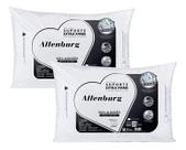 Kit 2 Travesseiros Suporte Extra Firme Altenburg