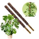 Kit 2 Tutor Para Plantas Fibra De Coco 60cm Estaca Bambu