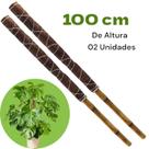 Kit 2 Tutor Para Plantas Trepadeiras 100cm Estaca Fibra de Coco